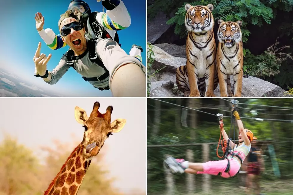 Five of The Most Exciting Texas Family Adventures This Summer