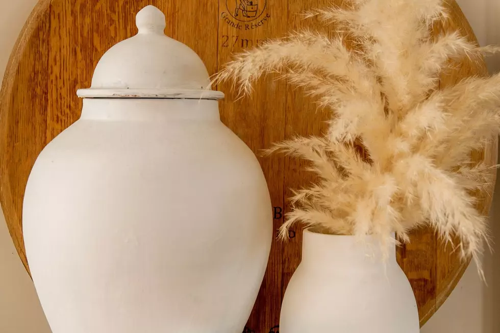 The Legal Spots to Spread Your Pet’s Ashes in Texas