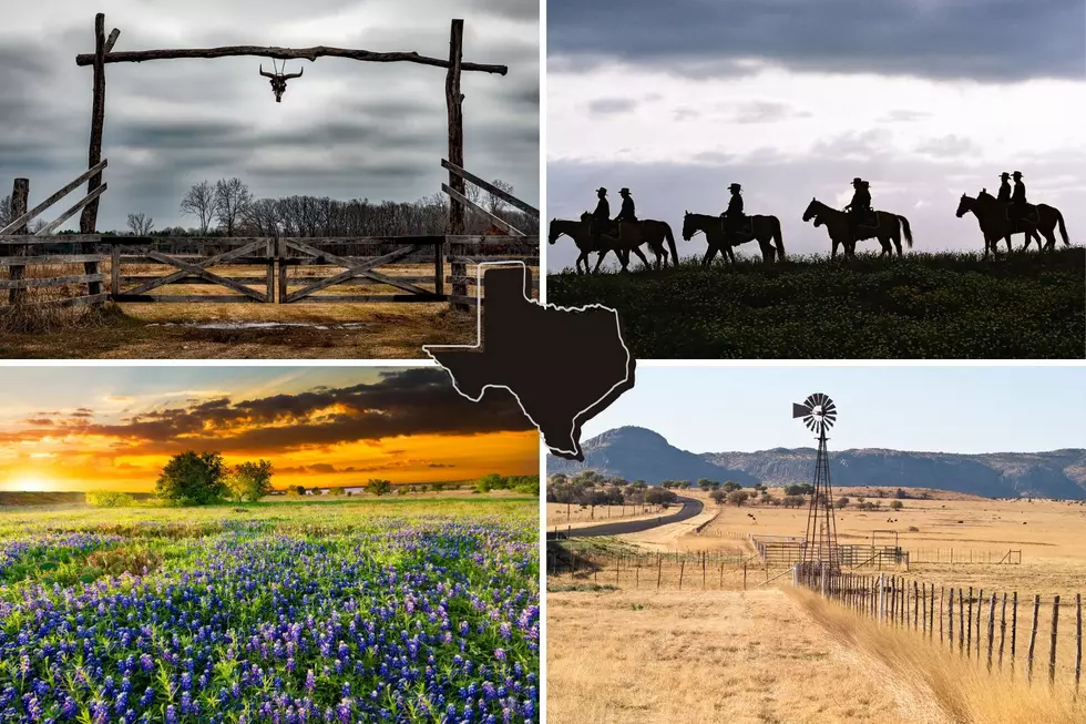 Texas is Now 95% Privately Owned: Who Owns The Most Land in Texas?