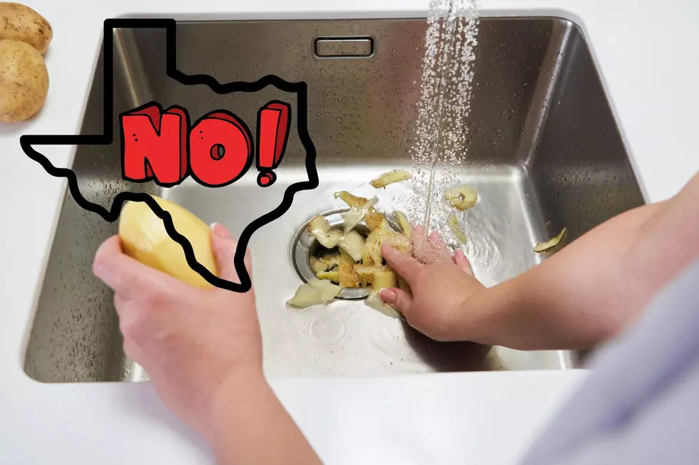 TEXAS: Keep These Foods Out Of Your Garbage Disposal